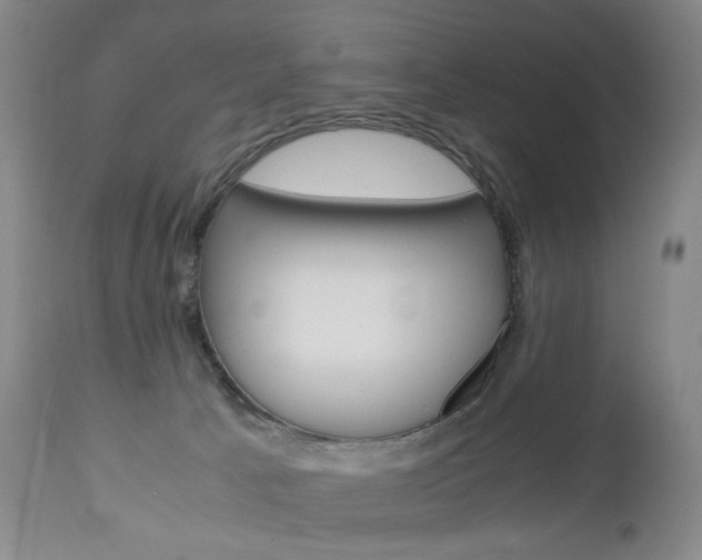 X0000113140033200909041007