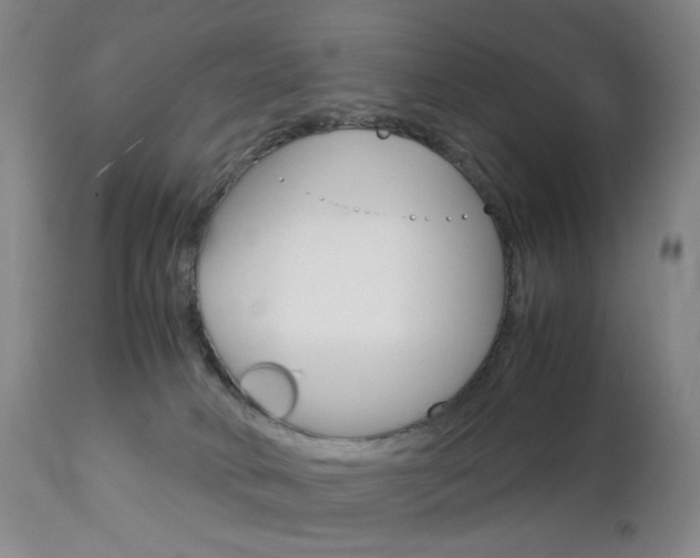 X0000113140034200909041007