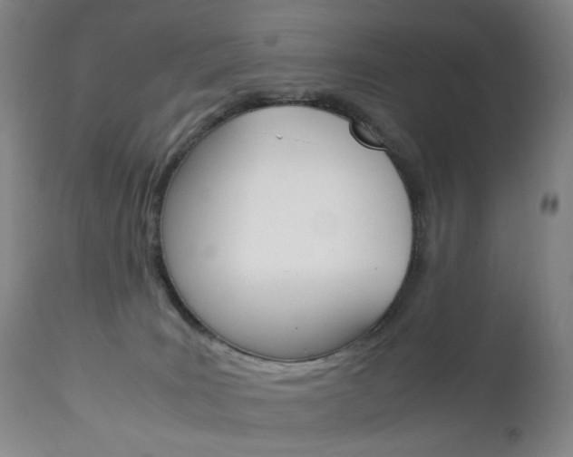 X0000113140035200909041007