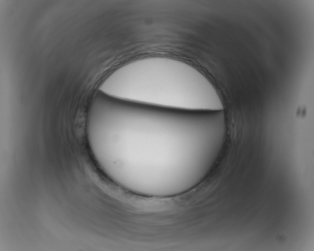 X0000113140036200909041007
