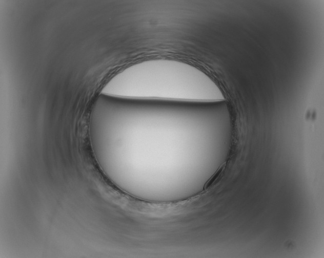 X0000113140037200909041007