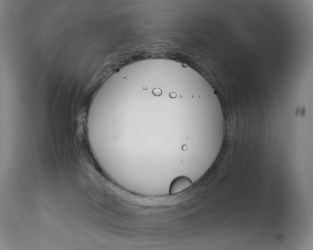 X0000113140038200909041007