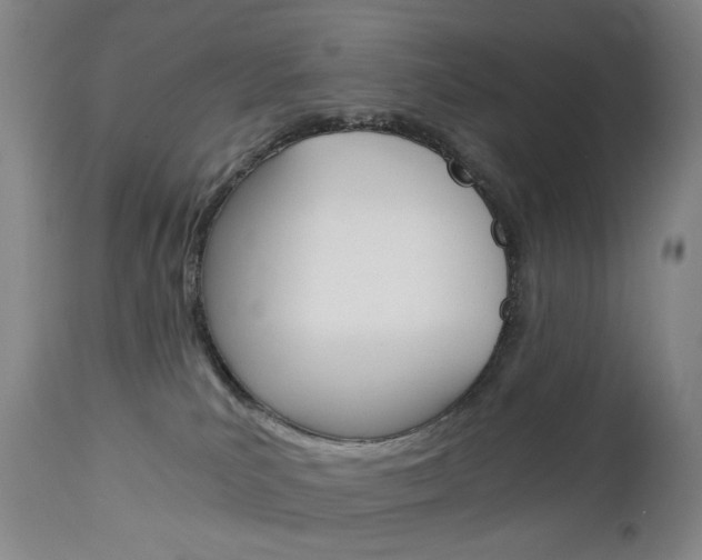 X0000113140039200909041007
