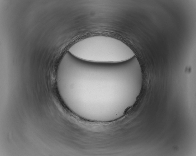 X0000113140040200909041007
