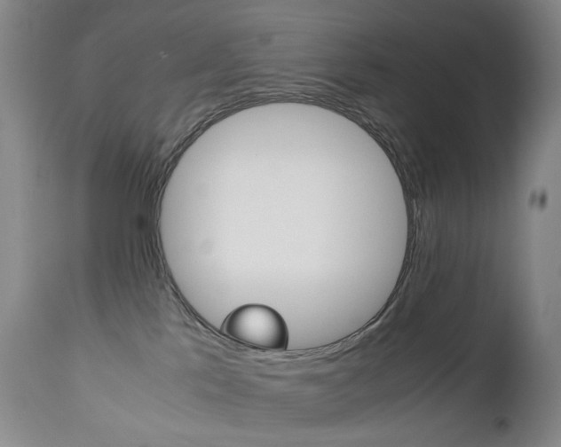 X0000113140041200909041007