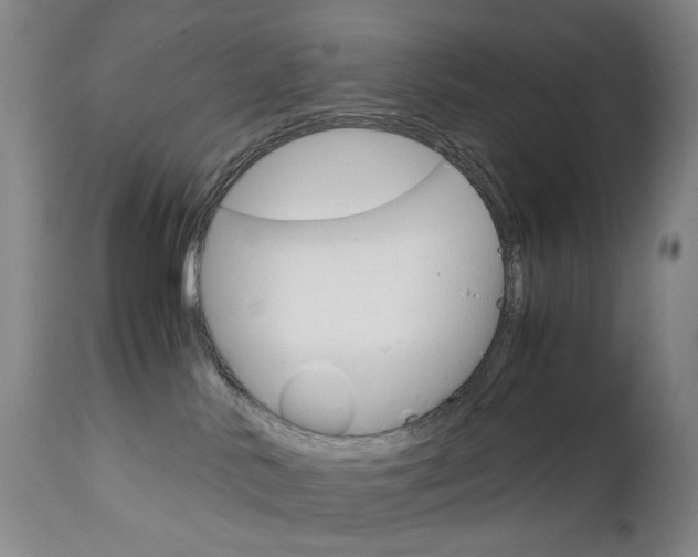 X0000113140042200909041007