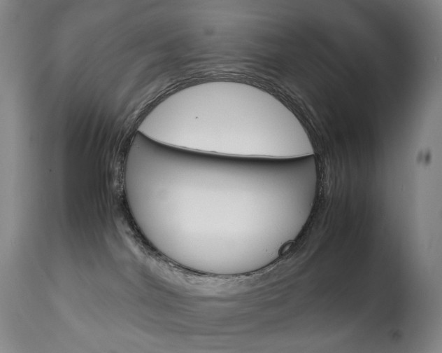 X0000113140044200909041007
