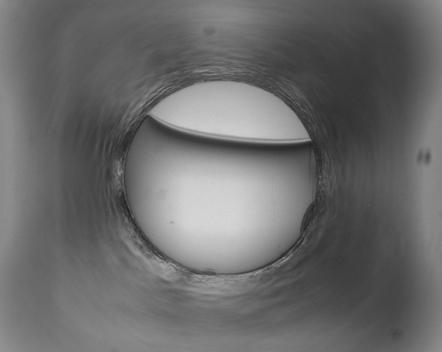 X0000113140045200909041007