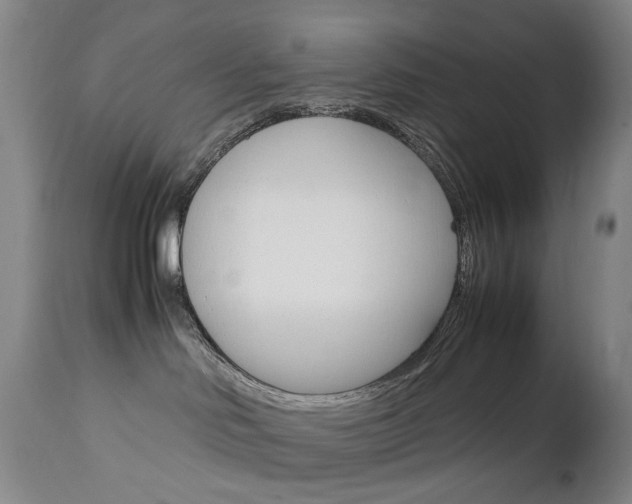 X0000113140046200909041007