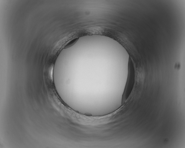 X0000113140047200909041007