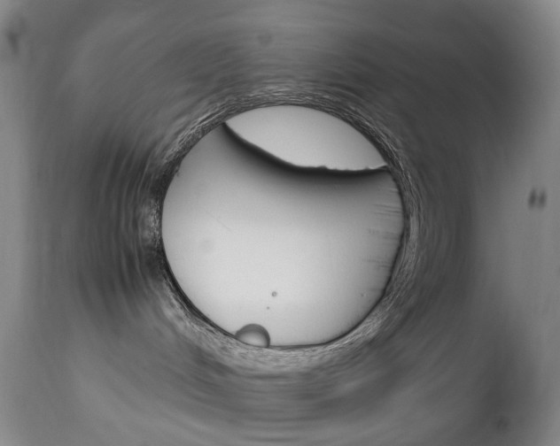 X0000113140048200909041007