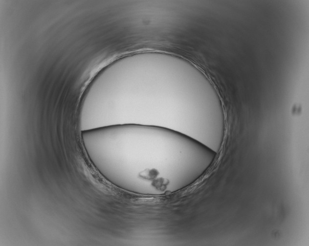 X0000113140050200909041007