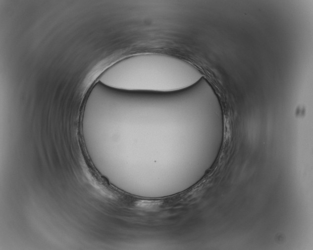 X0000113140051200909041007