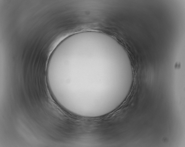 X0000113140052200909041007