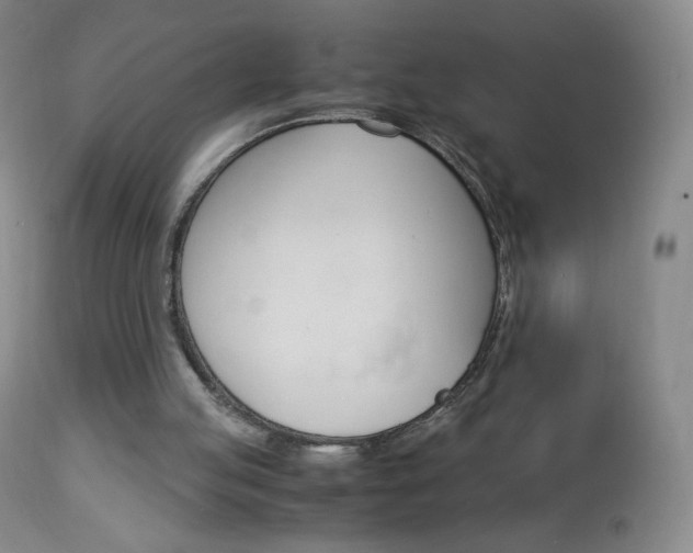 X0000113140053200909041007