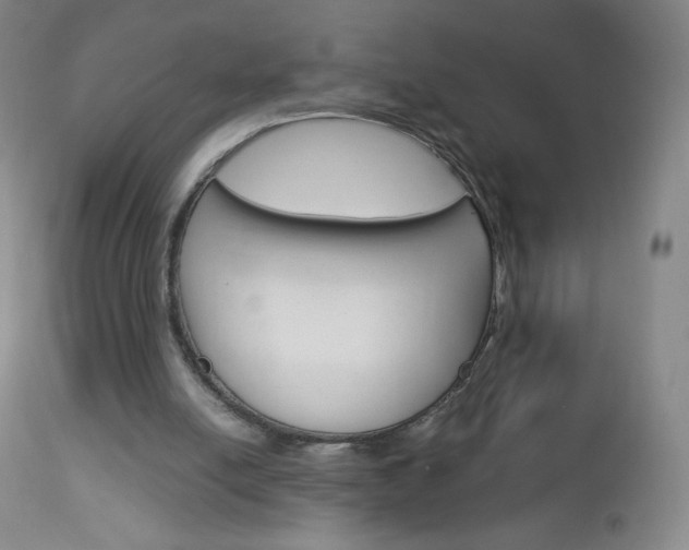 X0000113140054200909041007