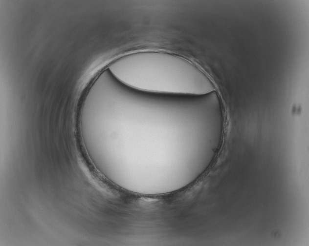 X0000113140055200909041007