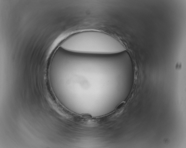 X0000113140056200909041007
