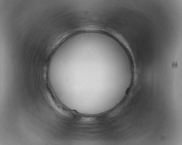 X0000113140057200909041007