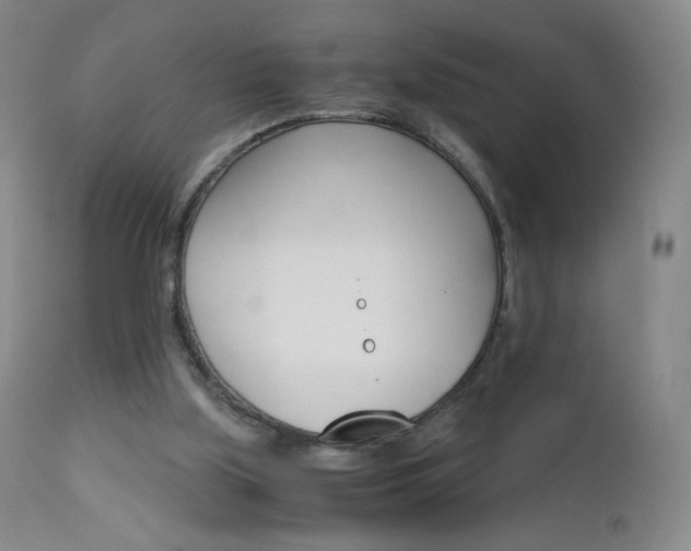X0000113140059200909041007