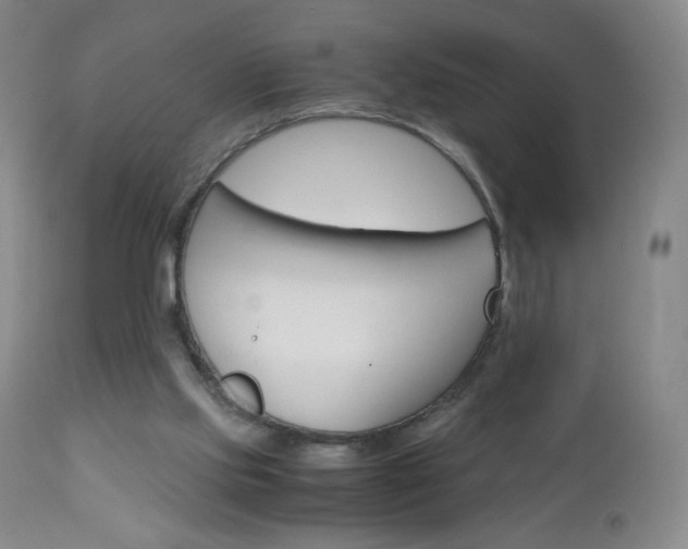 X0000113140061200909041007