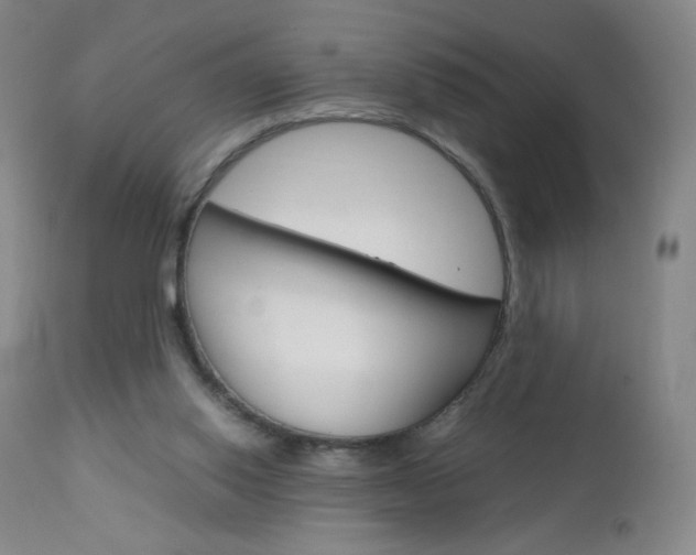 X0000113140062200909041007