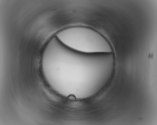 X0000113140063200909041007