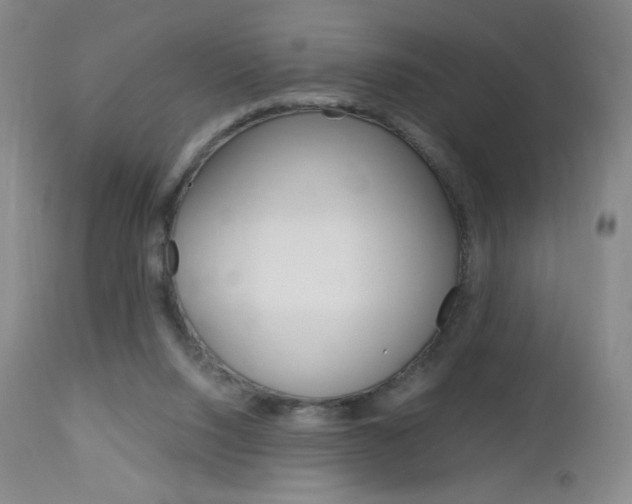 X0000113140064200909041007