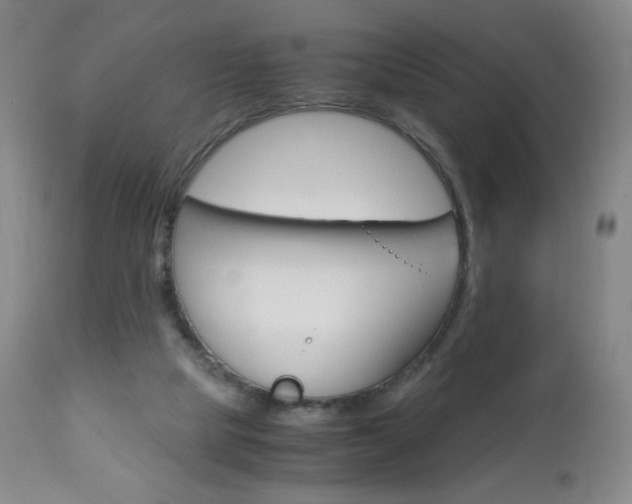 X0000113140065200909041007