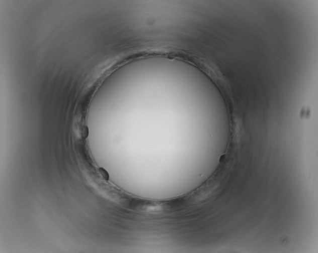 X0000113140068200909041007
