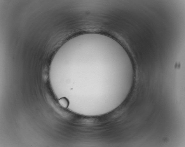 X0000113140069200909041007
