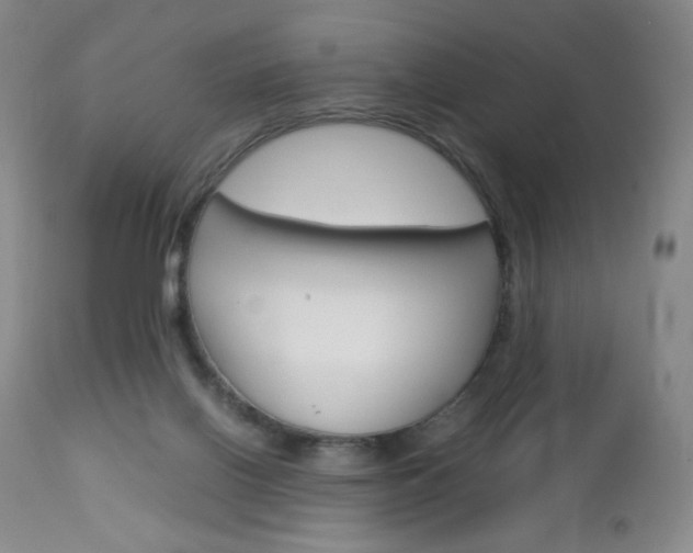 X0000113140070200909041007