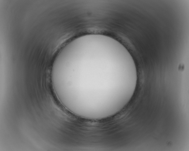 X0000113140071200909041007