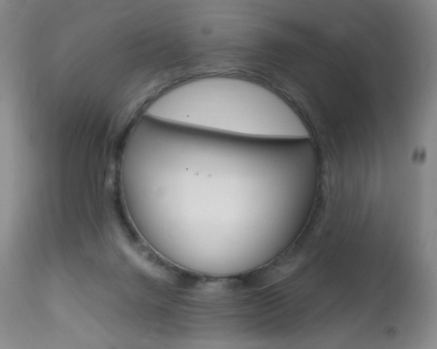 X0000113140072200909041007
