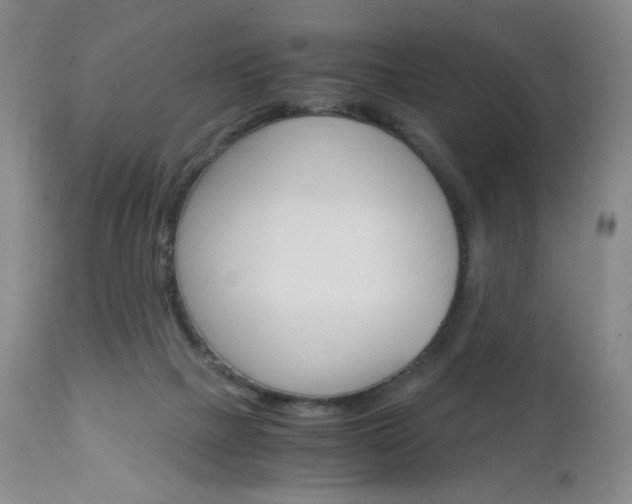 X0000113140073200909041007