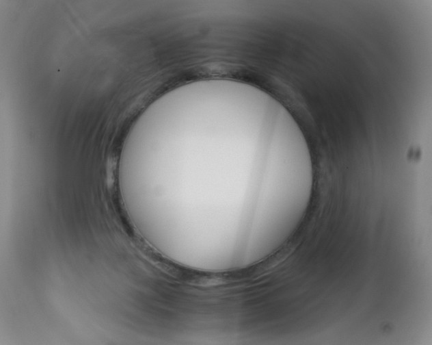 X0000113140075200909041007