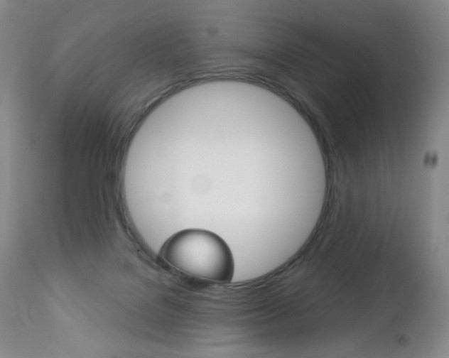X0000113140076200909041007