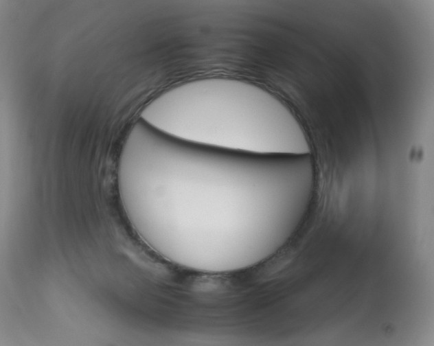 X0000113140077200909041007