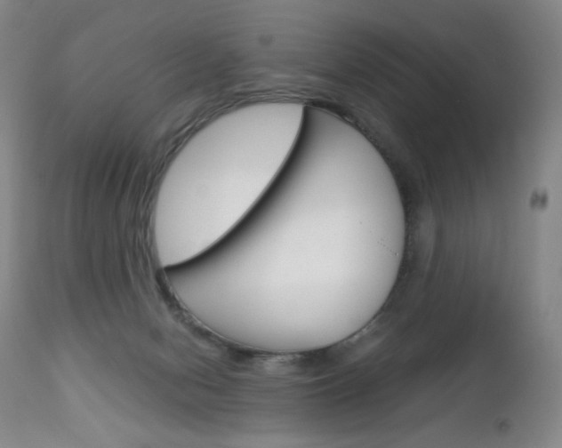 X0000113140078200909041007