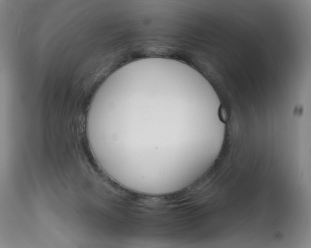 X0000113140079200909041007