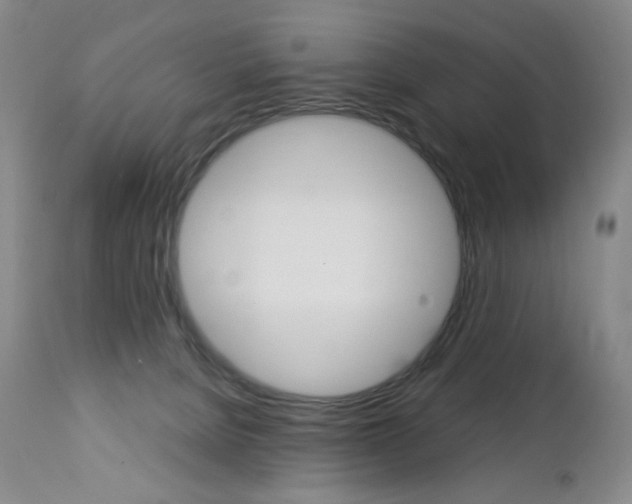 X0000113140080200909041007