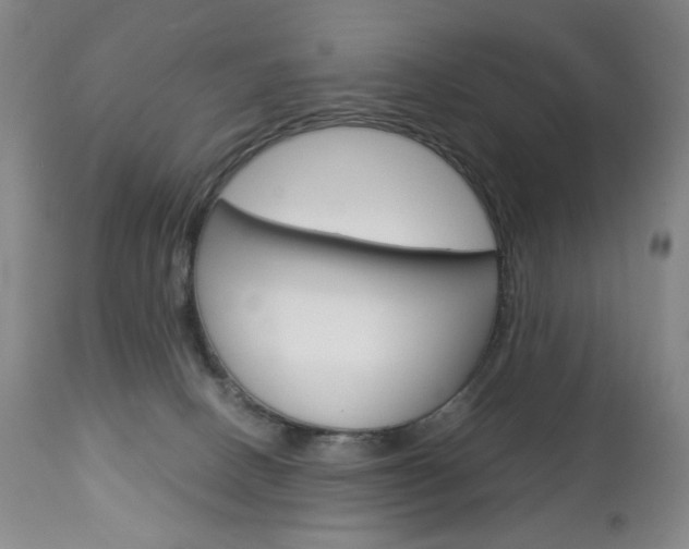 X0000113140082200909041007