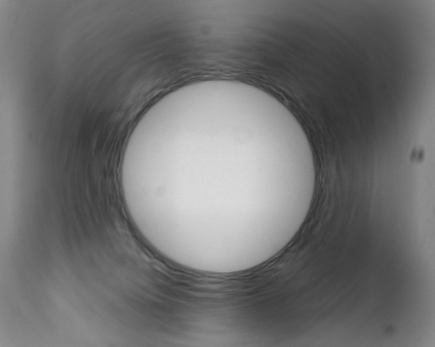 X0000113140084200909041007