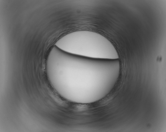 X0000113140085200909041007