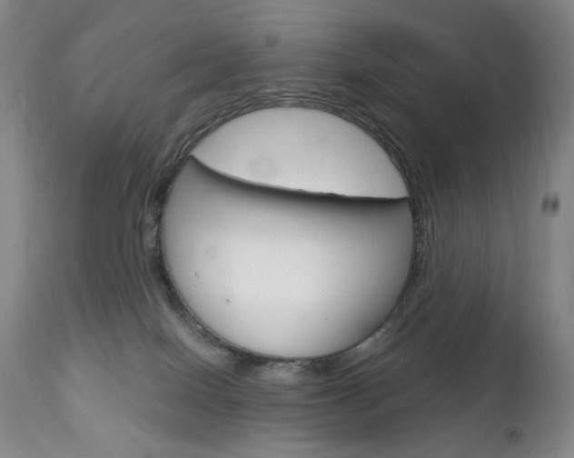X0000113140086200909041007