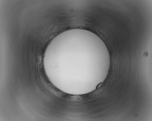 X0000113140087200909041007