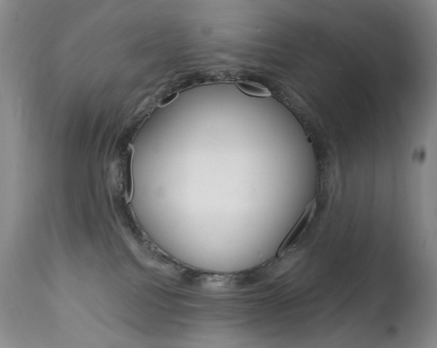 X0000113140088200909041007