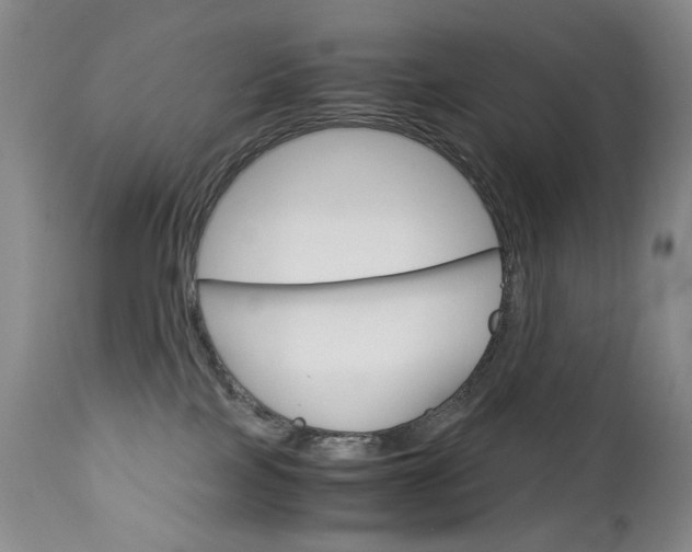 X0000113140089200909041007