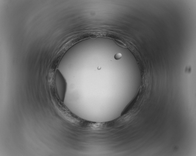 X0000113140092200909041007