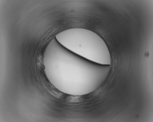 X0000113140093200909041007